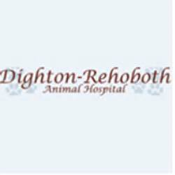 dighton rehoboth animal|dighton animal hospital ma.